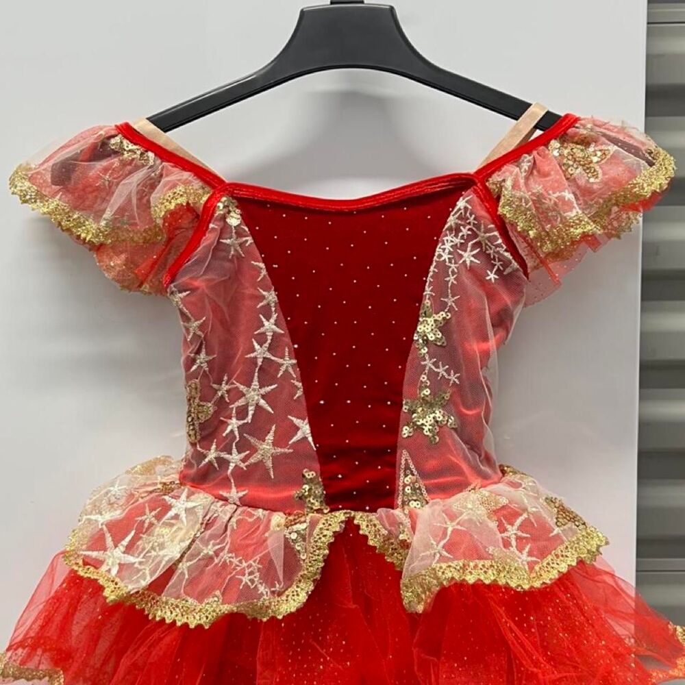 Women's multi Dress